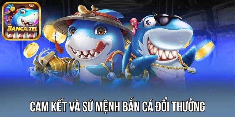 Cam kết và sứ mệnh sân chơi mang đến