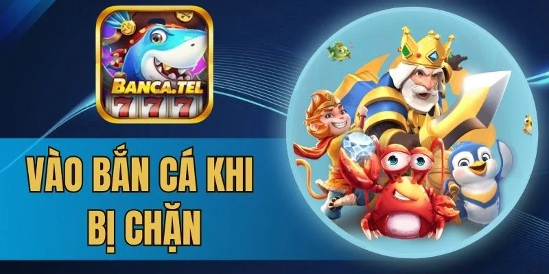 Độ hiệu quả qua các cách vào bắn cá khi bị chặn