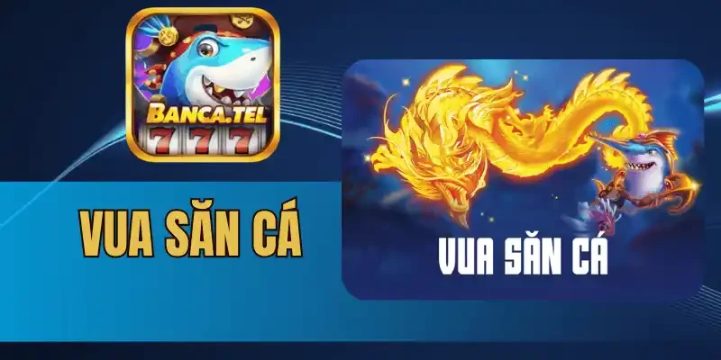 Sảnh khám phá đại dương phù hợp với mọi người chơi